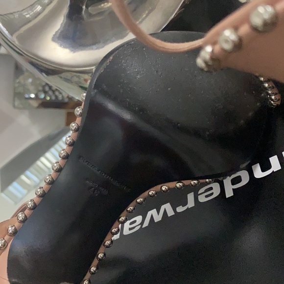 Alexander Wang - Picture 4 of 8